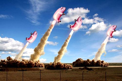 TheImperialTap's tweet image. #Raging #Wednesday @PigandDuke #YYC Best #Wings $4.50 LB and $6.50 #Pints of @ToolShedBeer @ShermanDelux #RealPub