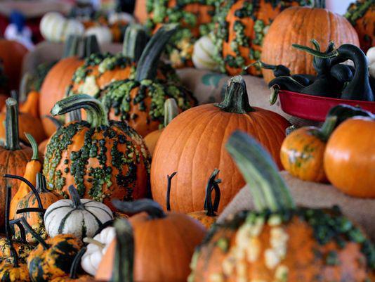 Fall farmers' markets are in full swing! Here's where to shop: bit.ly/1VYfBw7 #FortWayne