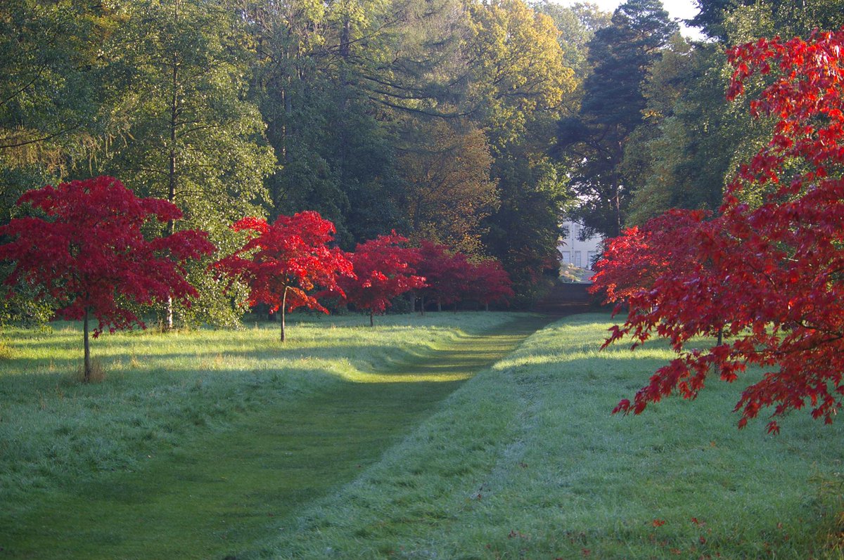 Clever Nature @ Thorpe Perrow Arboretum Bedale, N Yorks Great #YorkshireDayOut #YorkshireHour yorkshiredales.net