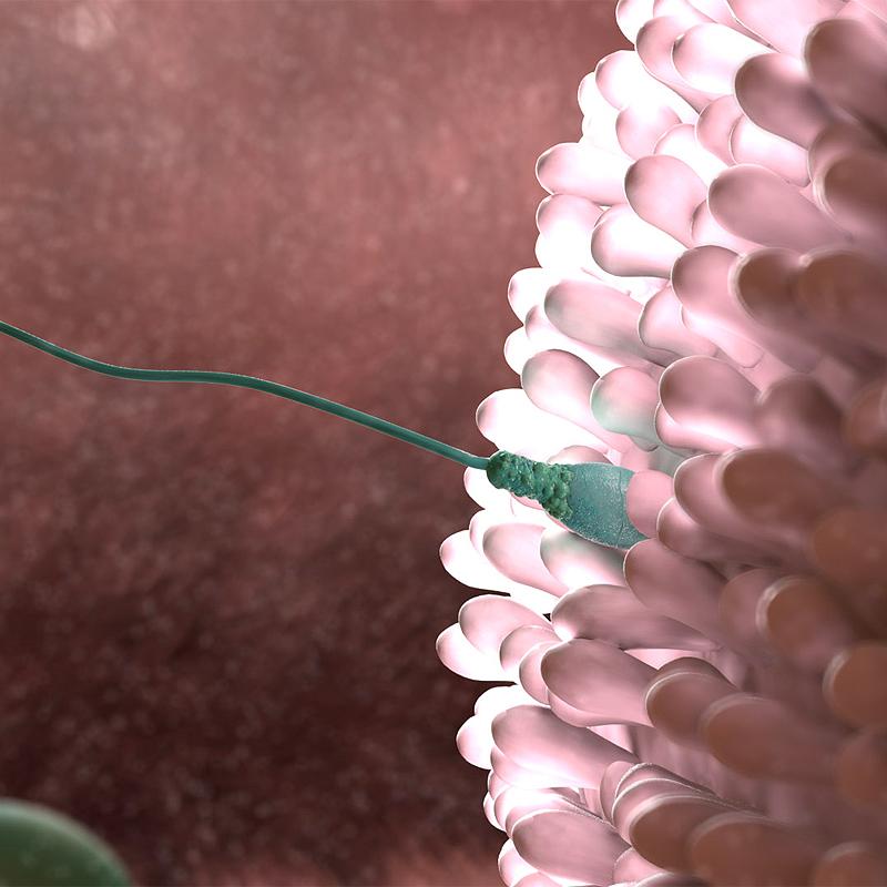 maxonzbrush's tweet image. ZBrush and 3D art are helping to improve the field of medicine. Read more here! zbru.sh/17n