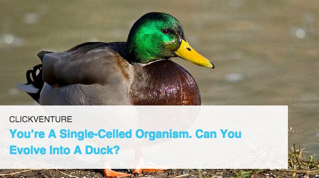 ClickHole's tweet photo. Good luck! You can do it. http://t.co/q9DX2M0rlC http://t.co/XDK4IE3R4s