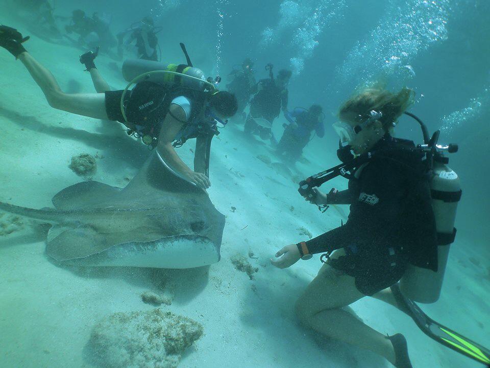 zoeseacamp's tweet image. A3. Diving with stingrays in Grand Cayman at Stingray City! #TWChats #KidsSeaCamp