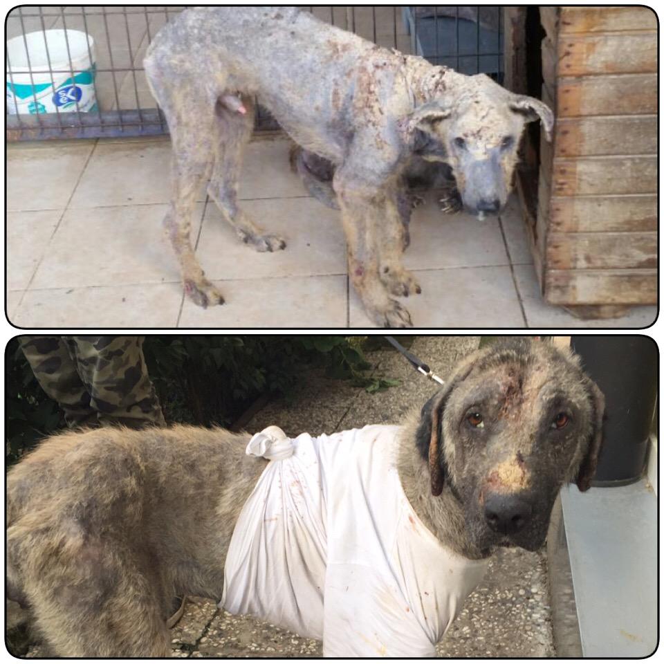 ...... #sarıyerrmkapatılsın