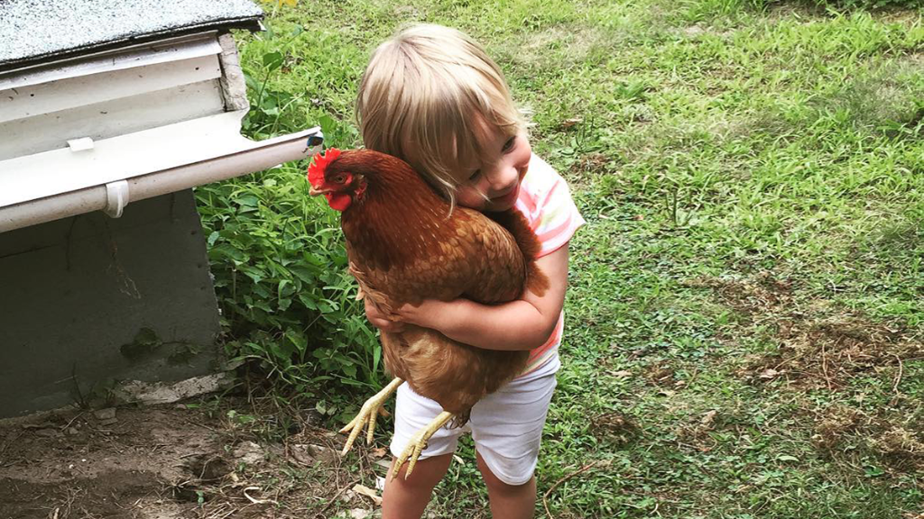 If it’s huggable, it’s a pet. Search a word (like “chicken”) to find your best pet pic. #EasyThrowback 🐓