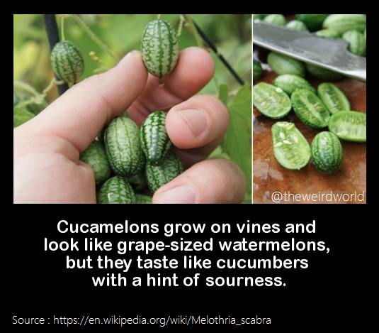 Shower Thoughts (@shwrthght) on Twitter photo 