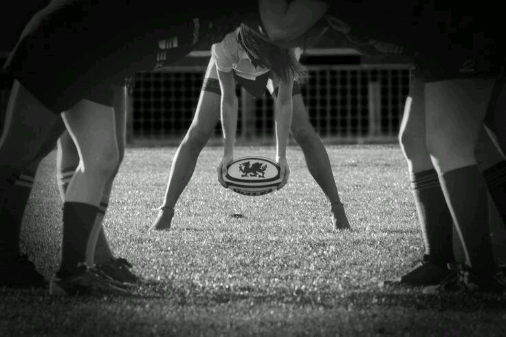 Aude Le Roux tweet media