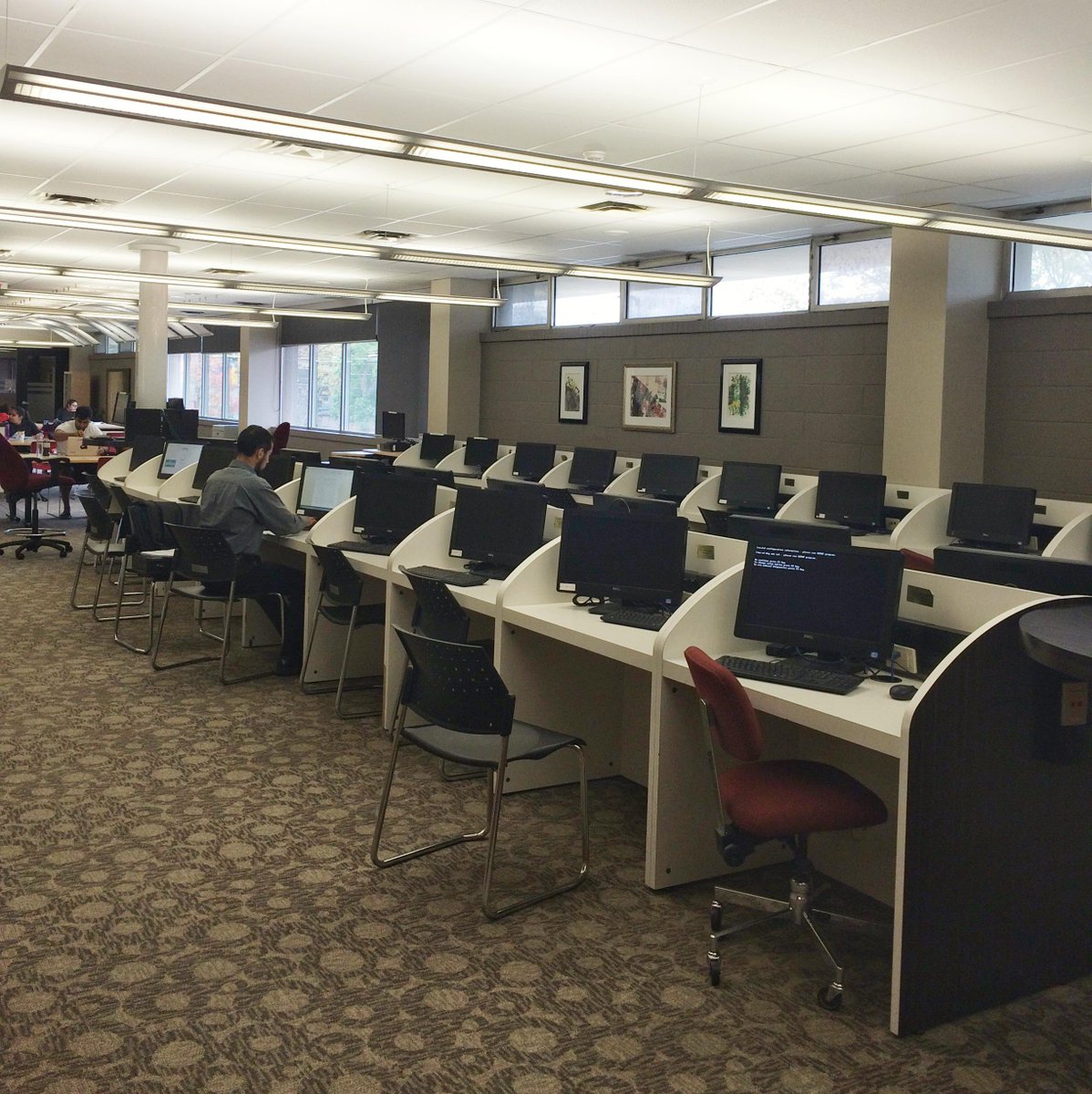 Laurier's tweet image. You know it&apos;s reading week when… Right, @LaurierLibrary?! #QuietLibrary #LaurierReadingWeek