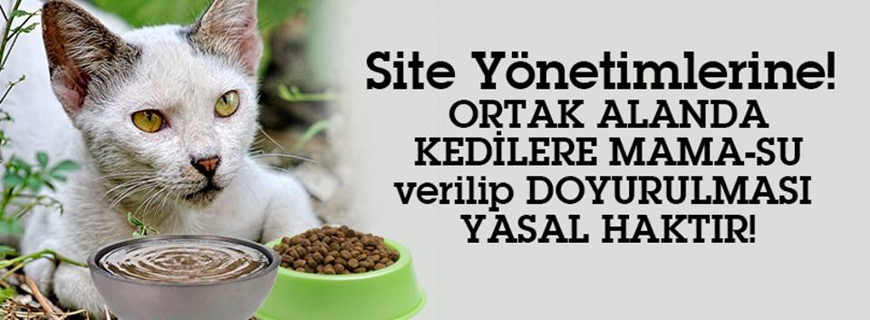zllktlr's tweet photo. APT-SİTELERDEKİ KEDİLERİ ve KENDİNİZİ YÖNETİM ve KOMŞU !! şiddetinden korumak için OKUYUN https://t.co/rzAfW0r25q http://t.co/yjXIwLcguX
