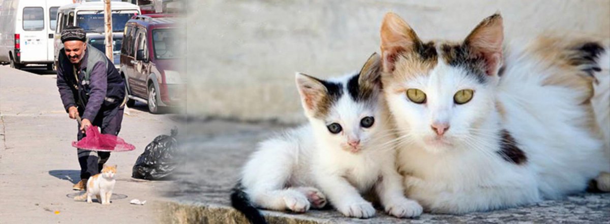 haykonfed.org/2015/05/12/ked…   <a href="/gingerredy/">Fernandinha 🍌🌶🍆</a> <a href="/esraca/">AYSESRA♋</a> <a href="/hayhaksaygi/">HayvanHaklarınaSaygı</a> <a href="/Hayvist1/">HAYVİST</a> @melis_kutay <a href="/osmasi_ololi/">Levent Akçay</a> <a href="/hacikodernek/">Haçiko Derneği</a>