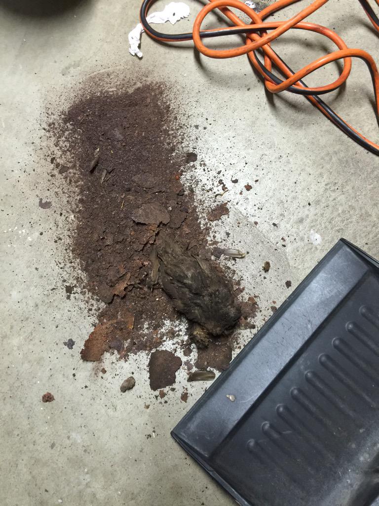 RjDippold's tweet photo. Found this #dunkirk boiler above 3000ppm CO. Took it apart and cleaned it. Used the #testo320 to make it safe again http://t.co/vvI8fDTbFg
