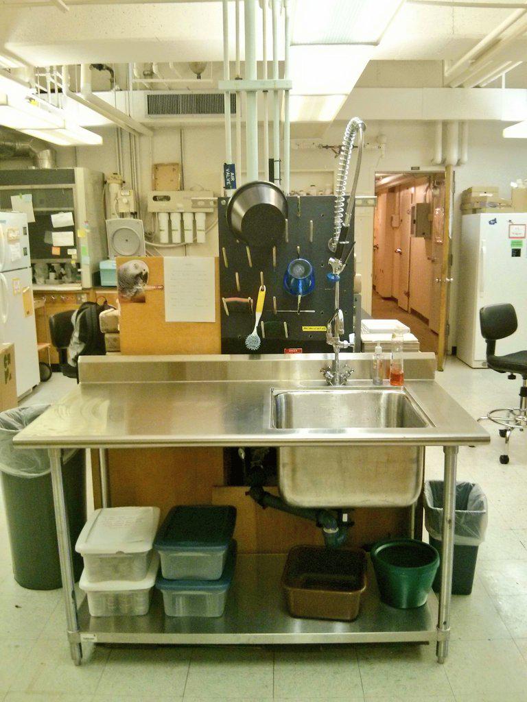 JagaLab_OSU's tweet image. Thank you @OSUFacilities for installing our new sink! We love it! 🚰