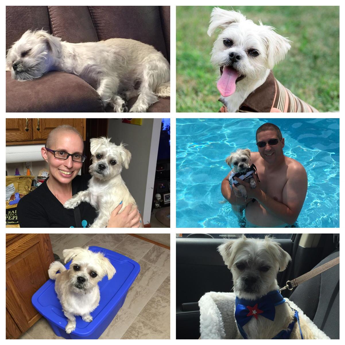 Happy 1st Birthday Shaggy Boo Boo!!! 