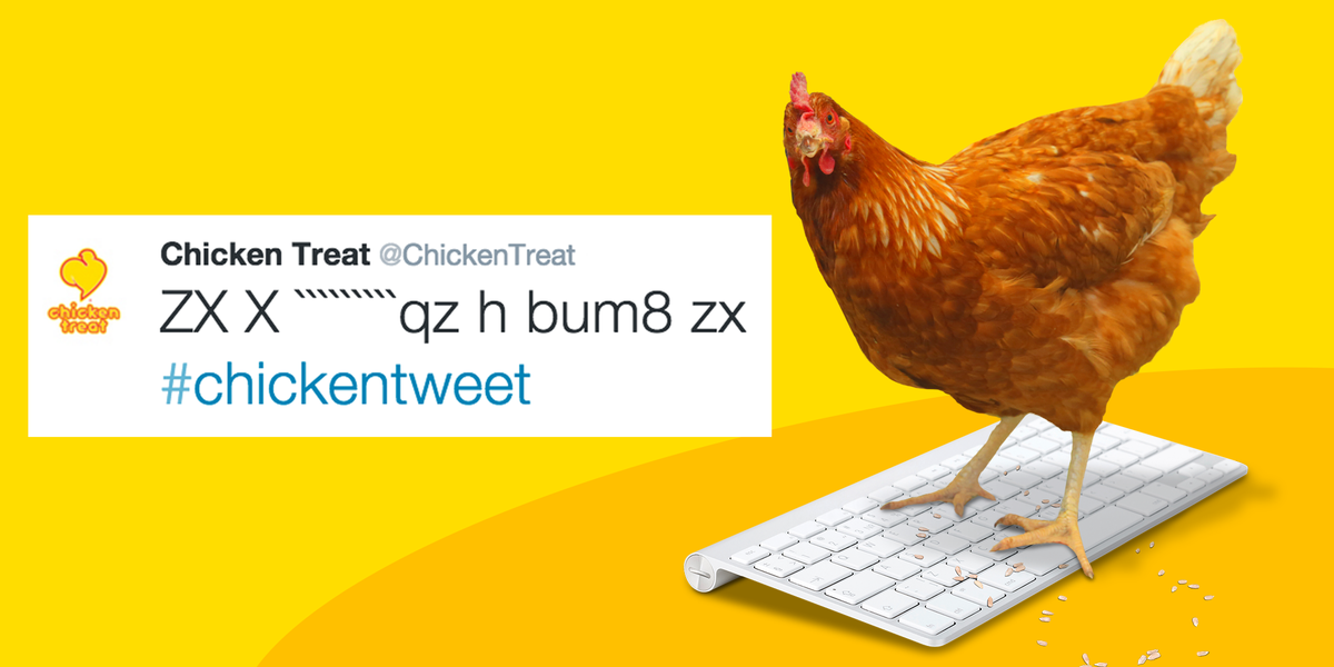 ChickenTreat tweet picture