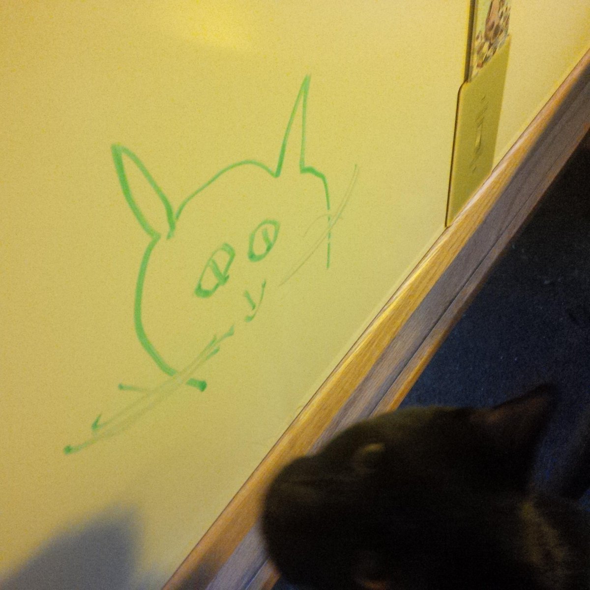 EloquentYAWP's tweet image. Worf the cat approves of Mama #Writer&apos;s new acquisition, the mother of all dry erase boards. #WriterGeek