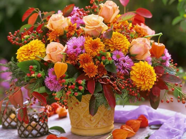 CRVm-Z_UcAAht8A.jpg:large