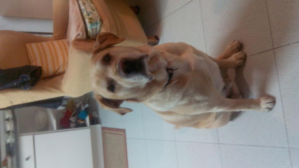 #instayako postureta