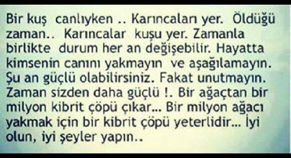 Her gün 1 Yeni Bilgi (@hergunyenibilg) on Twitter photo 