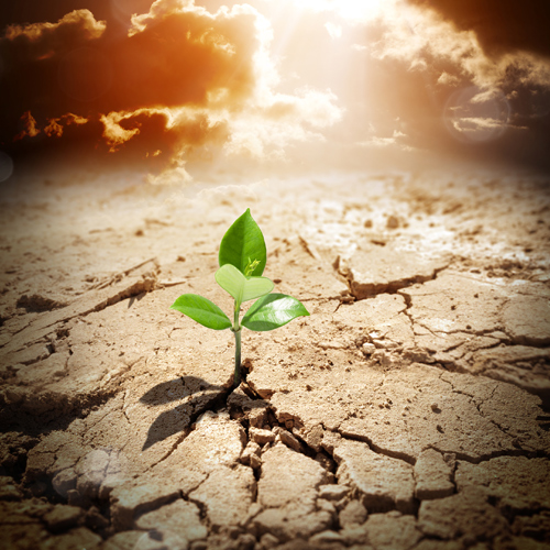 ChiselleTagg's tweet image. Deloitte presents the CFO Survey Report 2015 incorporating insights of 260 CFOs in Africa bit.ly/1NII8Vq