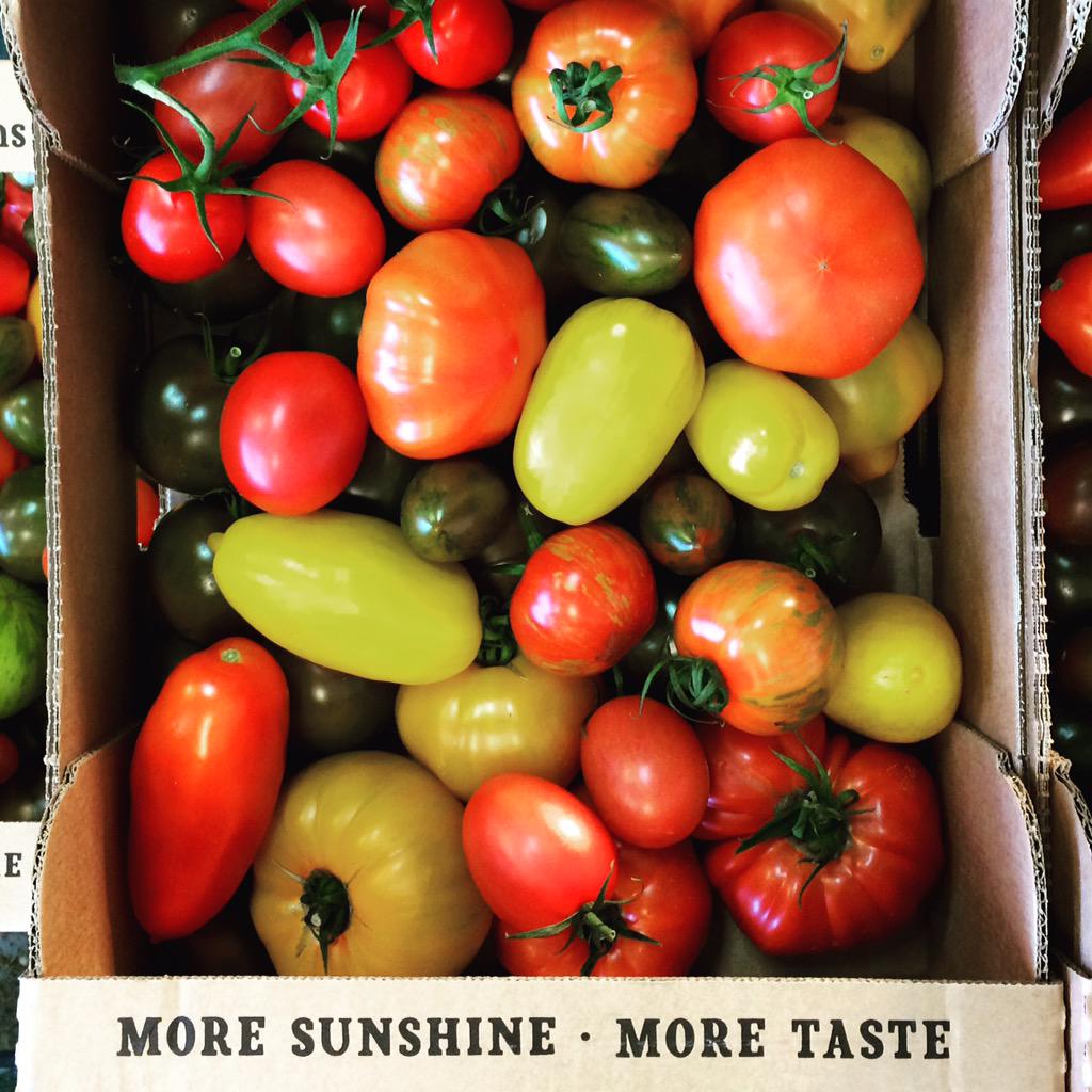 Enjoying the beautiful colours while they are still around. Still picking despite the #autumnal chill in the air