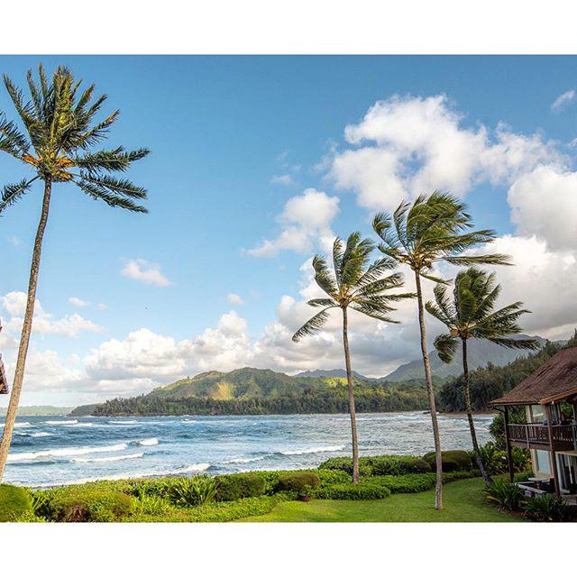 gohawaiiau's tweet photo. Beach side bliss at @Hanalei_Colony captured by @PaulyVella @KauaiDiscovery #kauai #hawaii #alohadownunder #beach http://t.co/LfYaTwHP8Q
