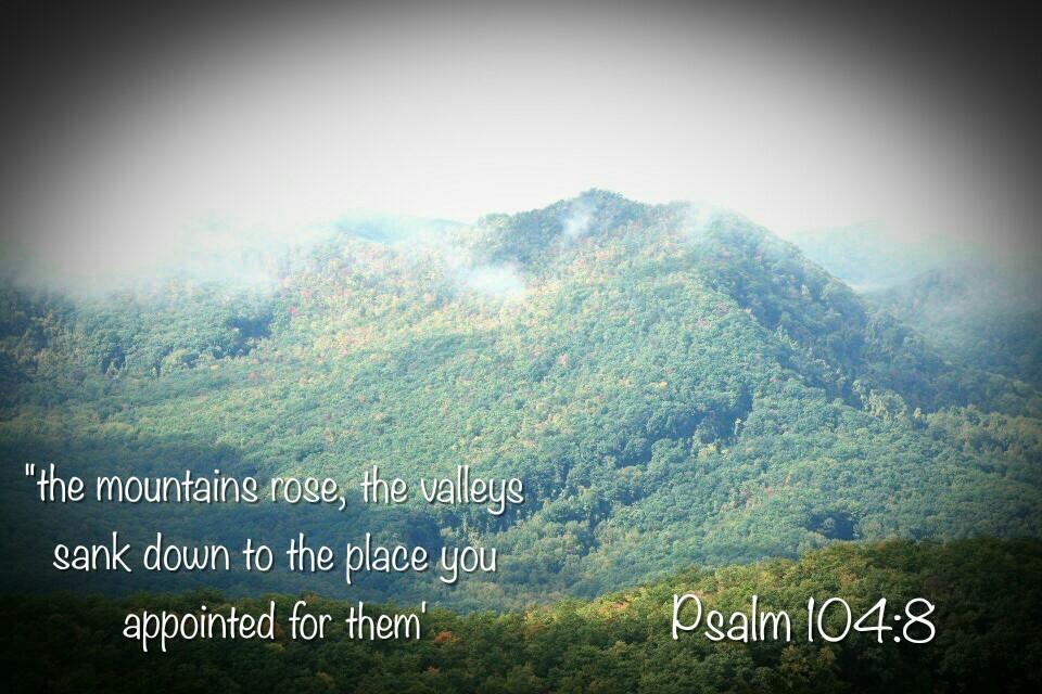 SMartySmile7's tweet photo. Another Smokey Mountains picture my husband captured on our #MartinAdventure #GodsArtWork http://t.co/Q5C6iteO8f