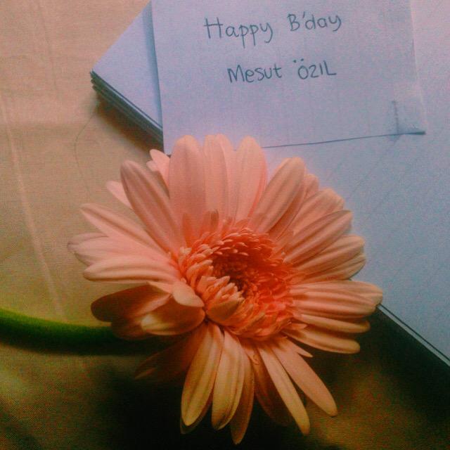 Alles gute zum geburtstag viel glück  happy bday mesut ozil   