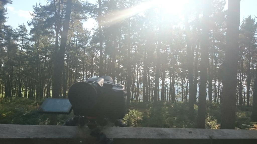 Testing out the built in timelapse features of the <a href="/PanasonicUK/">Panasonic UK</a> #gh4 
While at a cabin in the woods... #groovy