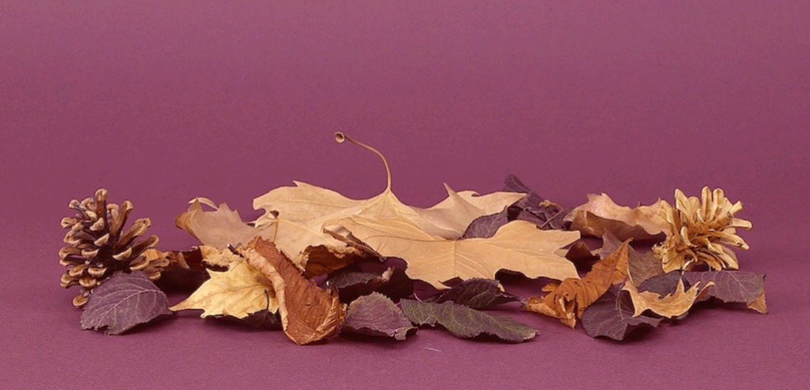 Size sonbaharı hatırlatan sesler hangileri? #SonbaharınSesleri
bit.ly/1Nea5RQ