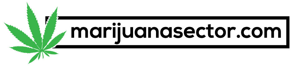 MarijuanaSector's tweet image. Why search for #marijuana news when you can find it all in one place? marijuanasector.com  #marijuananews #news