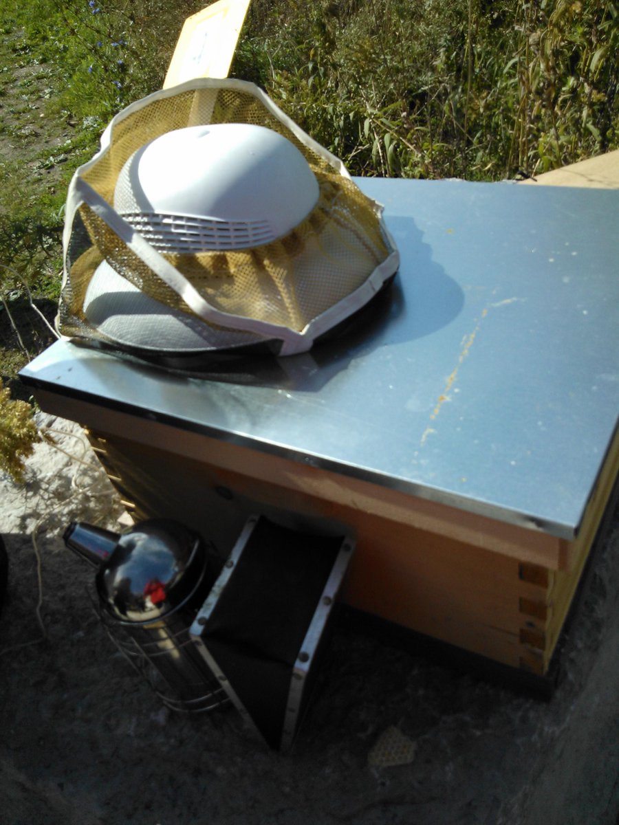 GreenieToes's tweet photo. Learned a lot about bees and beekeeping! #EcoD2 http://t.co/iCdpeEvjqu