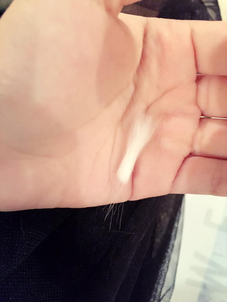 埋め込み画像への固定リンク