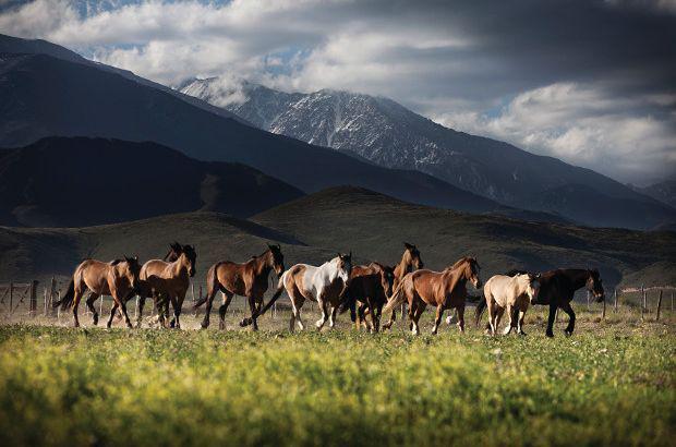 Postalesdecampo tweet picture