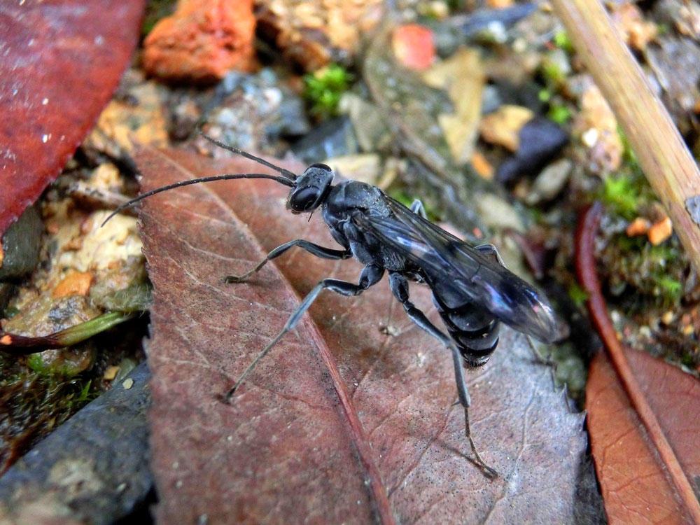 domalexander345's tweet photo. http://t.co/a57D94GyrV

#pwagbio http://t.co/JZOmKOxAPs