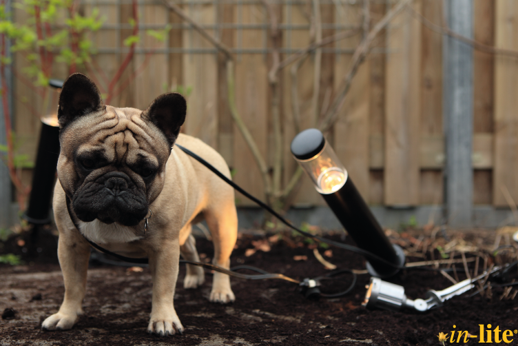 Tijd voor de licht APK! Vervang oude gloei- en halogeenlampen door LED verlichting. Milieubewuster &amp; energiezuinig!