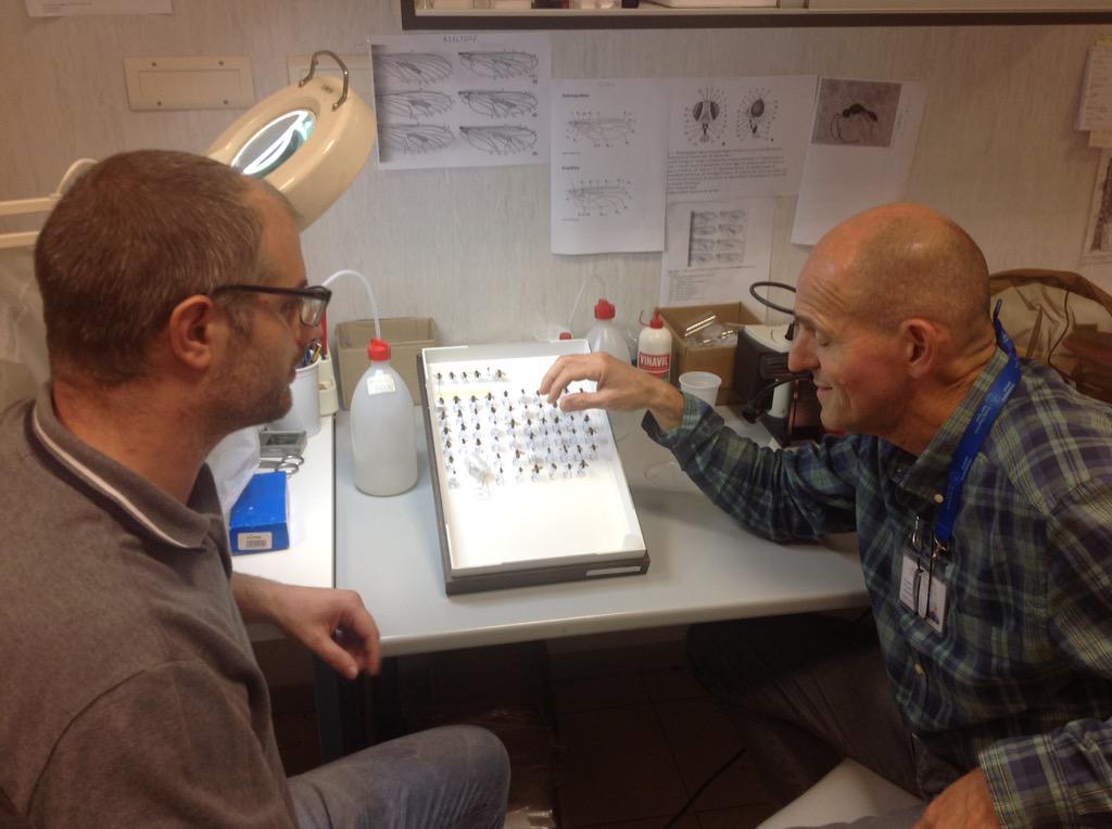 sebastiani_luca's tweet image. #EducationDay, Entomologi mentre preparano gli insetti per la prossima esercitazione. BioLabs-Ist. Scienze Vita
