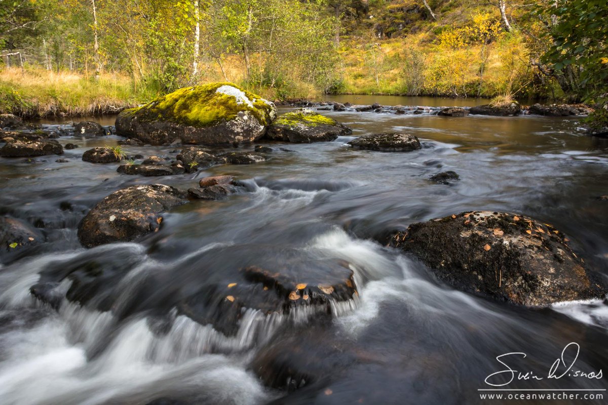 Autumn river plus.google.com/+SveinWisnaes/…