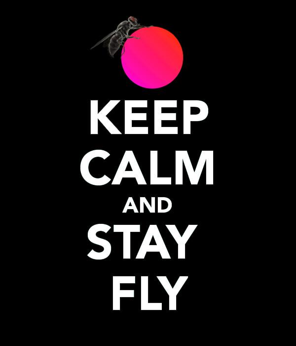 ArkonFly's tweet image. #FLY