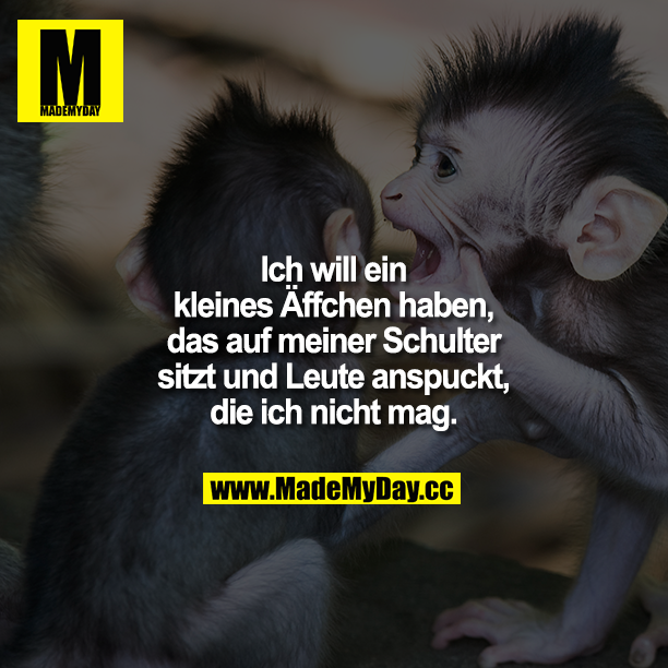 DerEchteKramer's tweet photo. RETWEETEN wer auch so ein Äffchen will <3 Hier gibts die günstigsten Spiele, Freunde http://t.co/kSFwkzwyNu http://t.co/kGBL1GMXQE