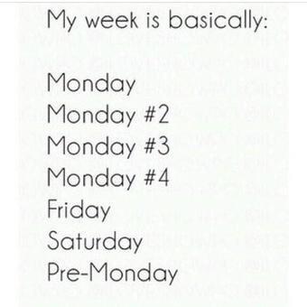 wolfieraps's tweet image. pretty much ...