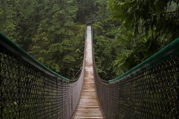 lululemon's tweet photo. A local #Vancouver city guide, handpicked by our team. You'll want to visit these gems: http://t.co/jorUv88unU http://t.co/yprOAT8yuQ