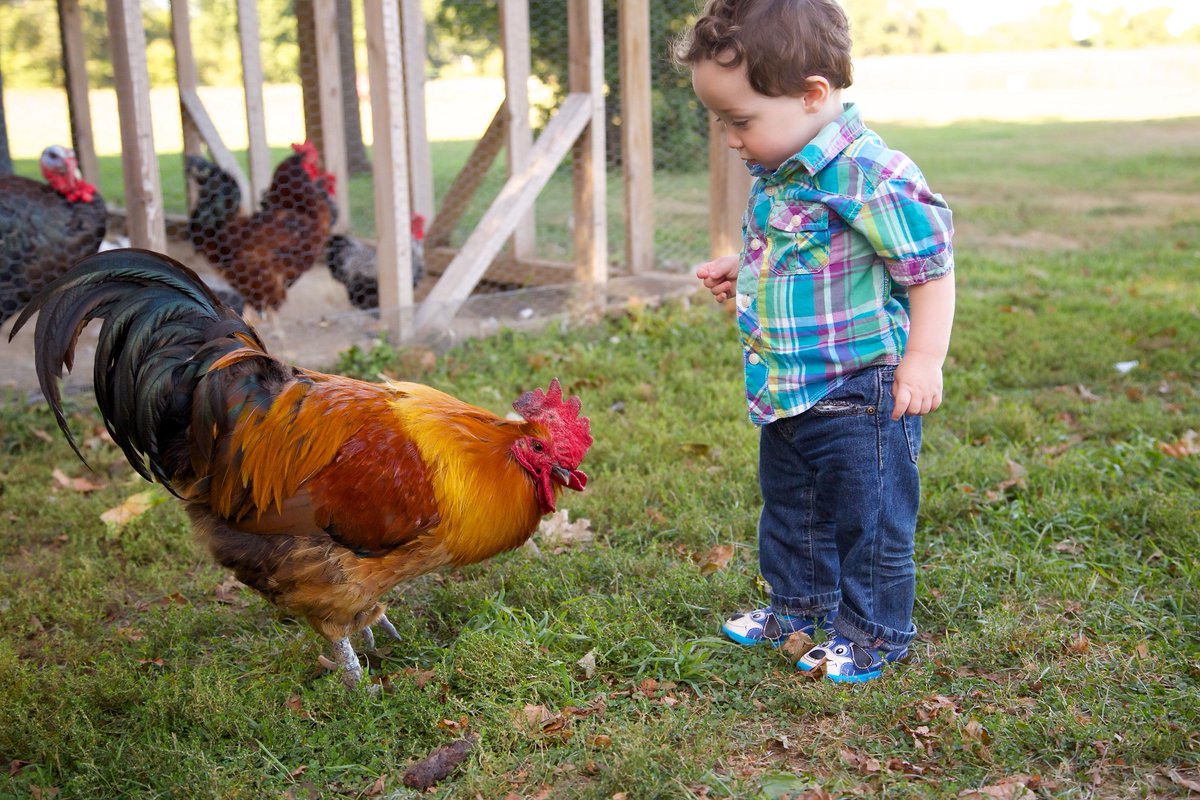 Zooligans's tweet image. Take 20% off with code ZOO20
zooligans.net