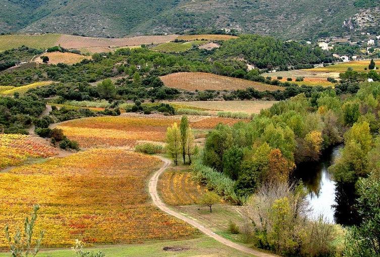 Fr_Essentials's tweet image. Autumn in south of #France