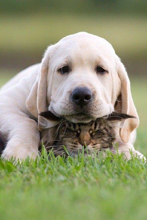 <3@pintsize73 <a href="/im461/">Jerry</a> <a href="/PolakPotrafi333/">Polak Potrafi</a> @iamSAHlL <a href="/TIINA1969/">Tiina Korpelainen</a> <a href="/Spontonvi/">Didilambick</a> <a href="/me5205203732/">Joanna</a> <a href="/marie_nassar/">Marie Nassar</a> <a href="/ClauMert/">Claude Mertenat</a> HappyD<3