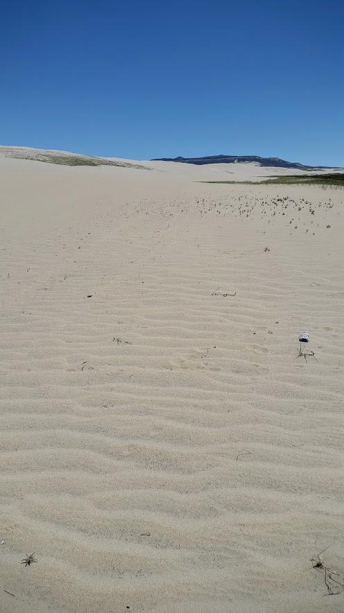 Not a bad place to get lost #killpeckersanddunes #wy125 @sweetwaterwy #hideinnature