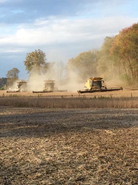 LoderFarms's tweet image. Down to last 400 acres of beans