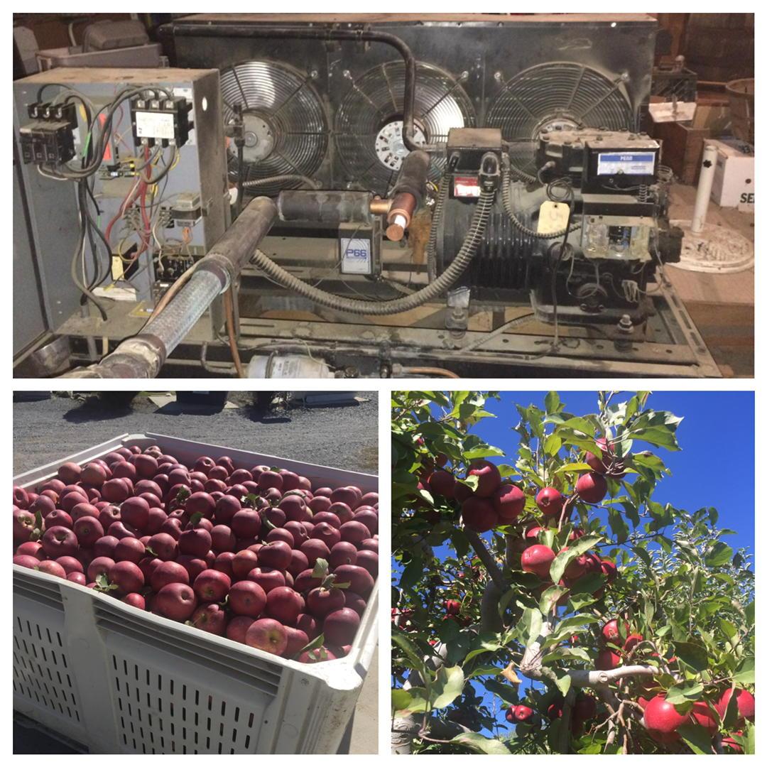 Action_AC's tweet image. Servicing coolers today for these delicious fall favorites #applepicking #HudsonValley #farmfresh