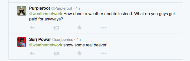 gnitkoc's tweet photo. The weather network posted a cute picture of a beaver. These were the responses #theinternet #hellitself #peoplesuck http://t.co/1Z3FUEj686