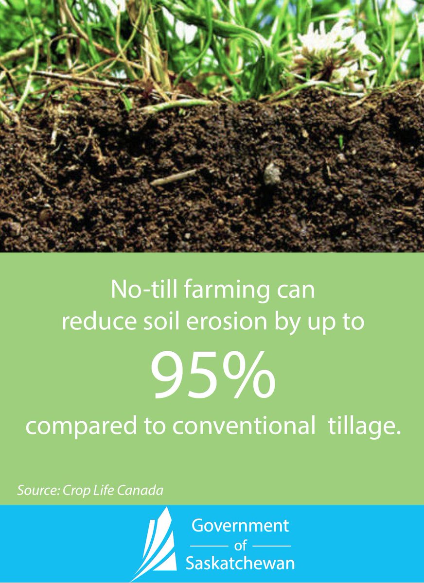 #SaskAg continues to innovate – our stewardship journey has just begun. #agmonth