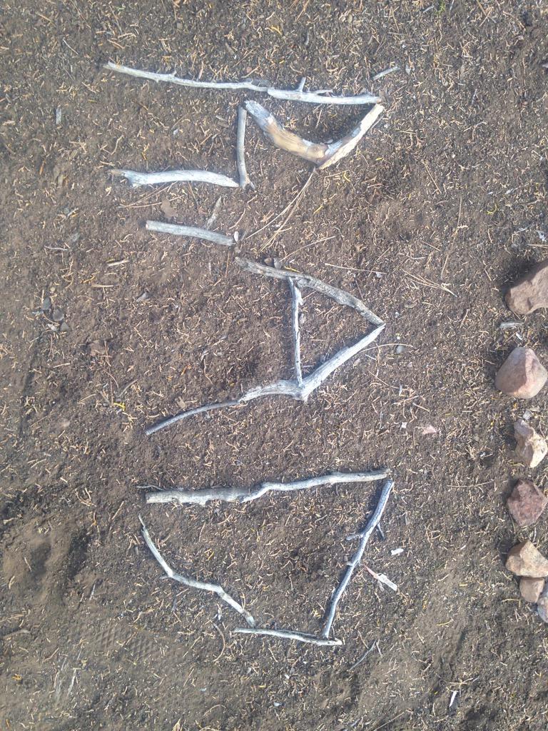 Integrity Skates tweet media