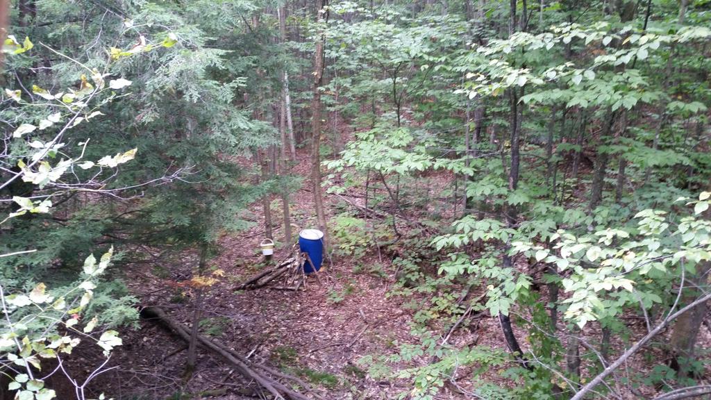 BigD_Outdoors's tweet photo. Doing some Fall Bear hunting with my son #cabelascanada #beararchery #bear16 #memoriesforlife #raisedhunting http://t.co/OWthzLM3Y6